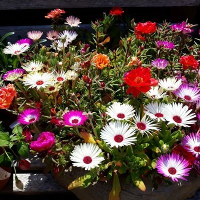 WinnieAtwell's profile picture. 