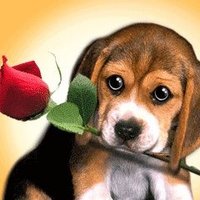 Manuela (@manuela70979779) 's Twitter Profile Photo Manuela (@manuela70979779) 's Twitter Profile Photo