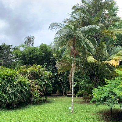 pmrdns's profile picture. 