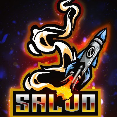 Salvoesport's profile picture. E-sports organisation with some big visions and goals