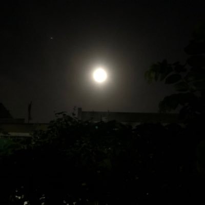 PehlajManglani's profile picture. 