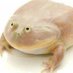 It is Wednesday My Dudes (@itswednesdaym20) Twitter profile photo It is Wednesday My Dudes (@itswednesdaym20) Twitter profile photo