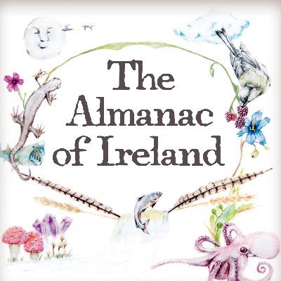 A compendium of odd, intriguing & adventure-filled stories from Ireland. A Red Hare Media production with Manchán Magan.