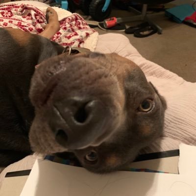 bbsmit127's profile picture. I haven’t put on grownup clothes since March 2020