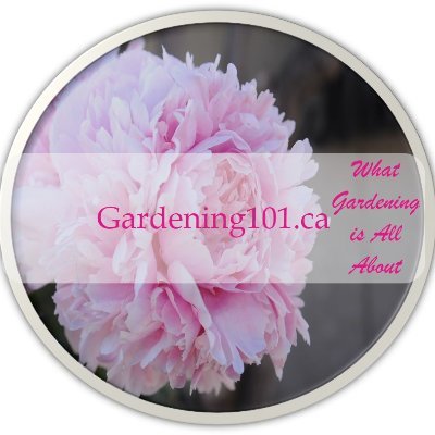 https://t.co/WFK8xzXeVF  What Gardening is All About.  Learn to garden through common sense, easy to understand information.