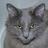 Hand4Paws's profile image