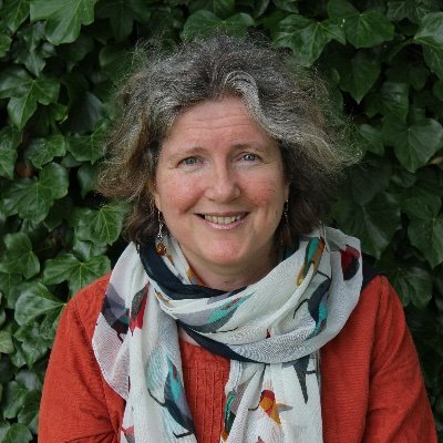 Author, agents @AnneClarkLit (Children's books) @JoUnwin for adult fiction. Occasional columnist for The Tablet. (pic by Invi Brenna.)