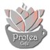 Protea Cafe (@theproteacafe) Twitter profile photo Protea Cafe (@theproteacafe) Twitter profile photo