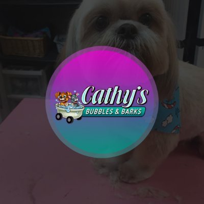Cathy’s Bubbles and Barks