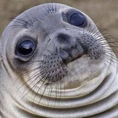 flexseal13's profile picture. YT: https://t.co/zFjWZgcMqU
chiccen nugget