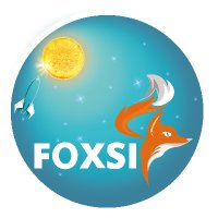 FOXSI rocket(@foxsirocket4) 's Twitter Profile Photo