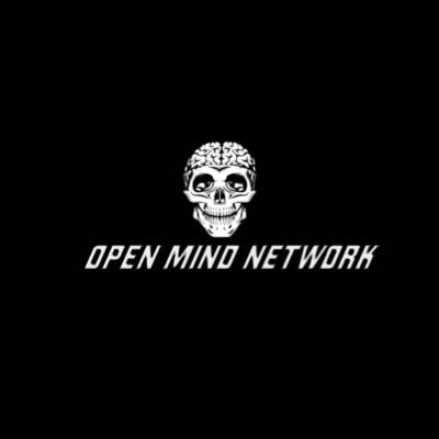 OpenmindN's profile picture. 