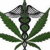 Herbology4's profile picture. We offer a variety of award winning Full Spectrum CBD products. Buy Now, Pay Over Time.