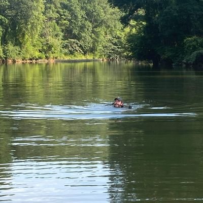 johnnyrad_'s profile picture. pet dogs. go fishing.