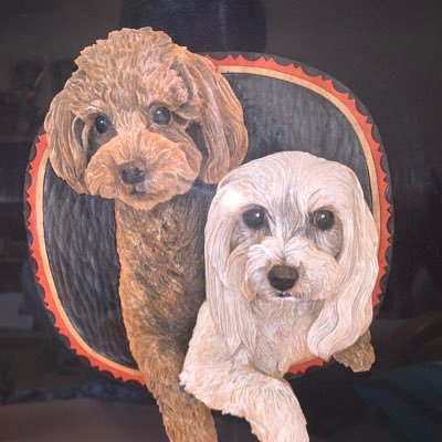 Kazu20202005's profile picture. 自営業 40代前半 麻布、六本木、赤坂を徘徊中🚶筋トレ キャンプ⛺️犬好き🐶個別株 インデックス投資にて資産運用中 マンションは3回購入 ハワイに別荘欲しいからBTCの確変待ち🌺無言フォローすみません。 #仮想通貨 #不動産