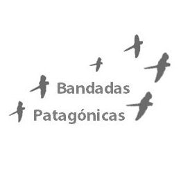 Amamos las aves y🌱
⚠️Divulgamos el CUIDADO y RESPETO por las aves de Patagonia Noreste ➪Colonia de LOROS + GRANDE del 🌎!