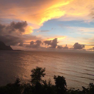 Brenda_Ashwell's profile picture. 