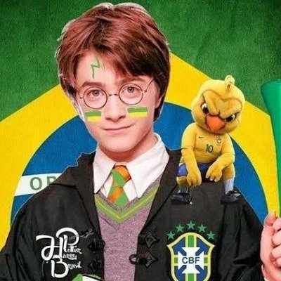 Entrando na trend  #harrypotter #memesharrypotterbrasil