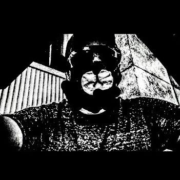 naujlopz's profile picture. constructor de realidades