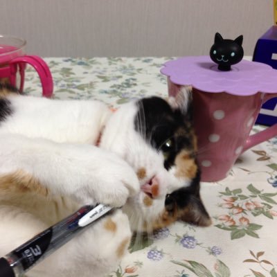 行政書士・成田市議会議員。冤罪事件にて現在係争中です。応援して下さっている友人知人・市民の皆さま、支え続けてくれている家族親族に心から感謝申し上げます。 千葉県警捜査一課の違法行為、検察官の法廷侮辱行為など私の冤罪事件についてはブログをご覧下さい。愛読書「シルバーバーチの霊訓」「アミ小さな宇宙人」