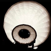 Matthew Santo (@matthewsanto) Twitter profile photo