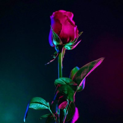 AlyssaA91844125's profile picture. Incognito.