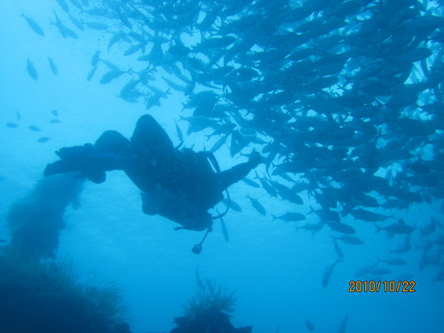 TFCsp's profile picture. 笑い事 遊び全般・本当身軽な行動派 旅・海・酒・山 とにかく多趣味そんな形を仕事・感性に、、、最近は釣りにはまってます