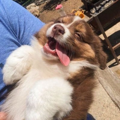 kelsey_hayess_'s profile picture. 