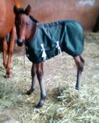 momopax's profile picture. 