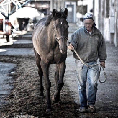 I am a professional Horseman. Owner. Trainer. Groom. Hot walker. Semi Retired Business Consultant. 🙂