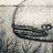 BallenaPesada's profile image