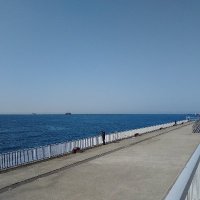 健康オタクの健さん (@jpim4zr1f7chvxg) 's Twitter Profile