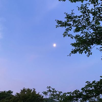 sakurano_o813's profile picture. エヴァ テイルズ メタルギア 大好き。 複垢。主にゲーム、キャンペーン等のRT垢なのでTLを汚していきます。