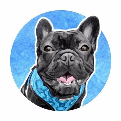 Hi! I'm Ollie Bear The Frenchie! I live outside Chicago. #frenchie #frenchbulldog #olliebearthefrenchie ✉️:oliverthefrenchie2019@gmail.com