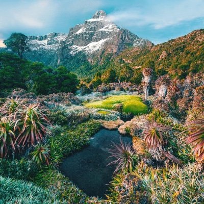 twitt3r_dood's profile picture. Engineer