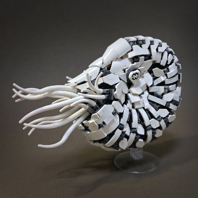 レゴランド・ジャパンのモデルビルダー。同パークにて作品展示中です。他にも各種専門誌での掲載やデンマークのレゴハウス、レゴランド等でも作品展示で活動。2025年、二度目のレゴ®マスターピースギャラリーに選ばれる。 オンラインショップBOOTHにて作品集販売中。