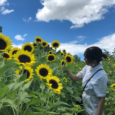 私は今まで「ダイエットは3日坊主… 」「自分に合うダイエット方法が全然わからない。」人でした😭💧しかし、私は6ヶ月で実際66kg→56kg へ 🌿理由は適切な食事制限🍽・運動🏃‍♀️🧘‍♂️を知ったからこそ効率よく出来たんです⭕️コメント・DM質問待ってます！全力でサポートさせていただきます🔥