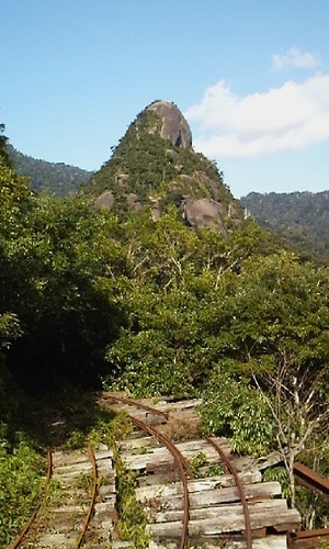 yakushimadas's profile picture. 島民・冬眠ちう😴春は来る狂うか😯のほほんとう人間の木偶のボク🤭体調崩しHP閉じたもののけ姫👸宮之浦岳他 #登山 🥾縄文杉へ白谷雲水峡よりフルor一部同行長年催行ガイドブックに案内なし🤒アクセス利便倹約自力者支援😙 #観光 穴場自遊案内🤗 #屋久島 投稿分メディアから見て値⤵️大きなお世話の便利屋さん🥳