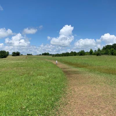 kkimsteve's profile picture. Help better places to live; been in NYC and now in DC metro area