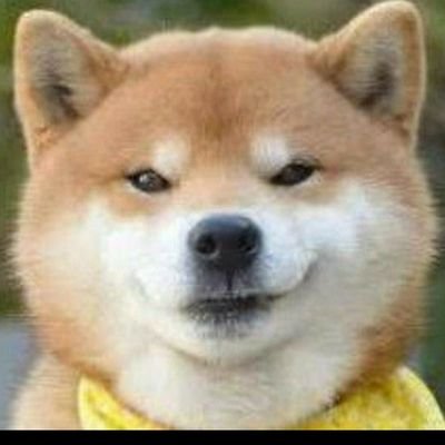 柴田犬一2 Ns5138 Twitter