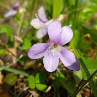 夫婦で2020年2月検査難民→後にコロナ後遺症と診断。
夫婦で筋痛性脳脊髄炎ME/CFSと診断、夫はプラス化学物質過敏症。
個人のご相談は✕。
後遺症マンガ連載中。note→https://t.co/ApbafnkOm5