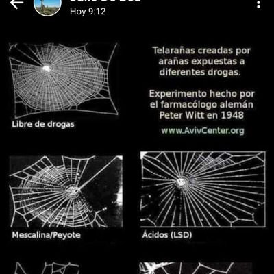 Victor62703487's profile picture. Educador social, testigo de la involución permanente del ser humano. Siguiendo postulados que liberan al ser del yugo de lo humano.
plick, plick anomalía 10.📞