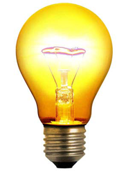 Full Service Web Hosting Company.