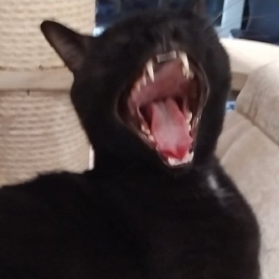 flowerさんのプロフィール画像