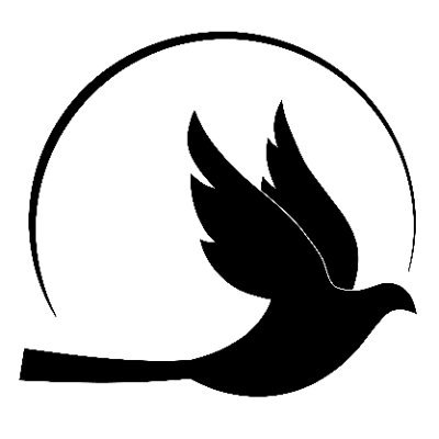 همراهان بدون مرز انجمنی مستقل و غیر سیاسی متشکل از ایرانیان داخل و خارج کشور است که با هدف کمک به ساکنین ایران صرفنظر از ملیت، قومیت و باور تشکیل شده است.