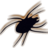 rayzak's profile image