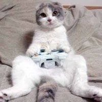 大阪でメンエス(メンズエステ)の求人してます🐈 (@8cwts) 's Twitter Profile
