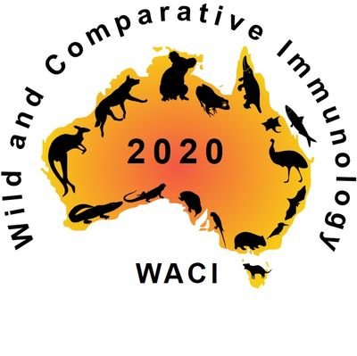 Wild and Comparative Immunology Consortium #WACI #WildImmunology #RewildingImmunology #ComparativeImmunology #TheAnswersAreOutThere