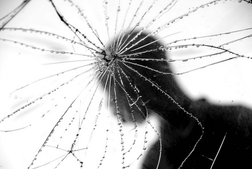 LauraMedranoPho's profile picture. 