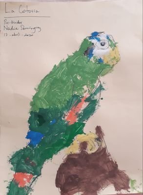 YvonneArias7's profile picture. Solidaridad